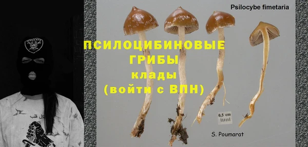 кокс Липки