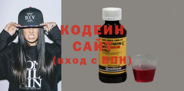 индика Лихославль