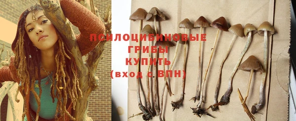 кокс Липки