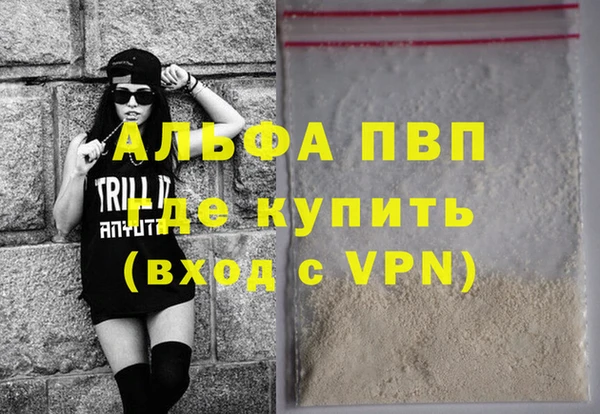 индика Лихославль