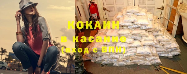 индика Лихославль