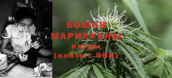 индика Лихославль