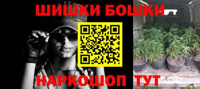 прущие грибы Кингисепп