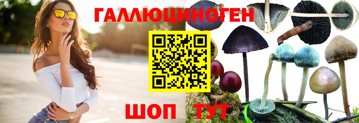 Галлюциногенные грибы Psilocybe Мытищи